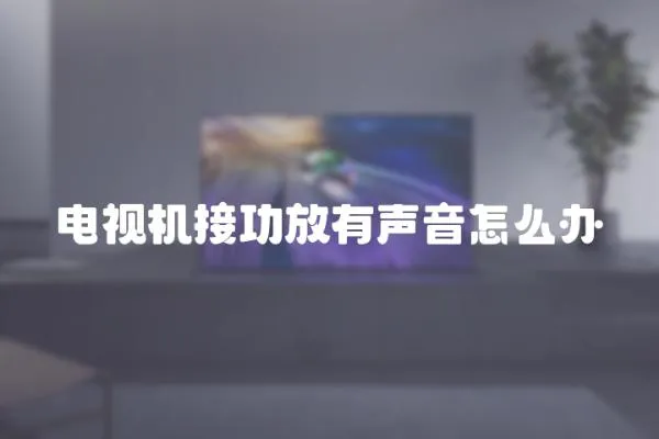 電視機接功放有聲音怎么辦