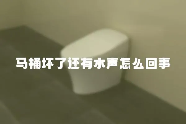 馬桶壞了還有水聲怎么回事