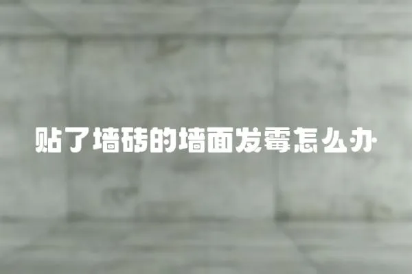 貼了墻磚的墻面發霉怎么辦