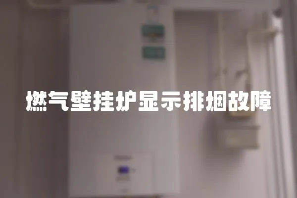燃氣壁掛爐顯示排煙故障