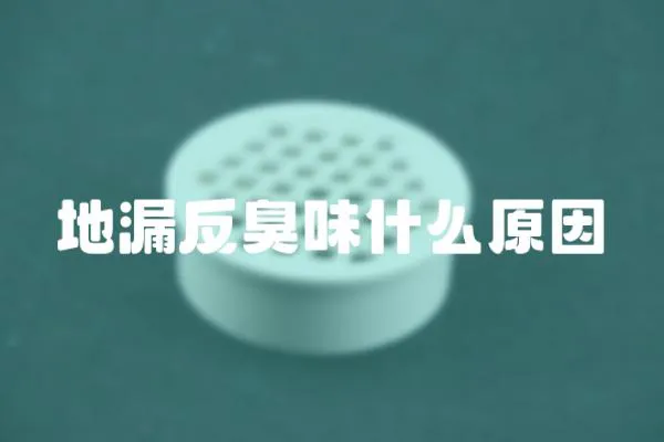 地漏反臭味什么原因