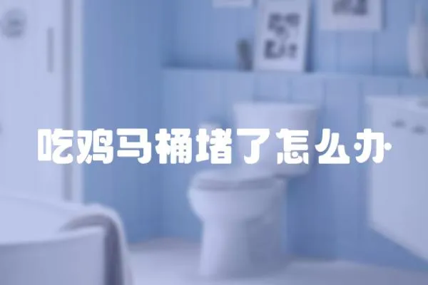 吃雞馬桶堵了怎么辦