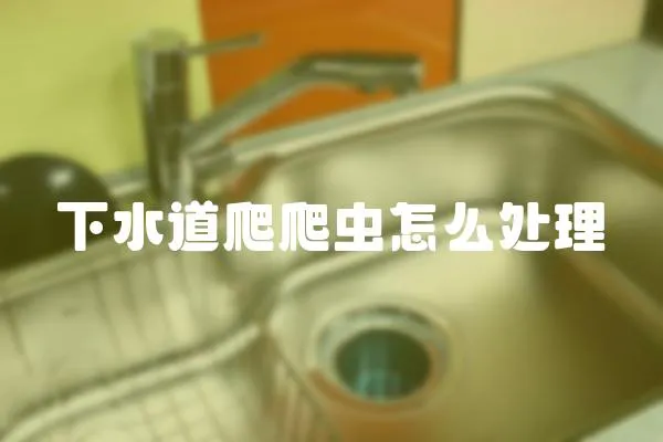 下水道爬爬蟲怎么處理