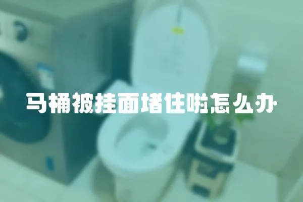 馬桶被掛面堵住啦怎么辦