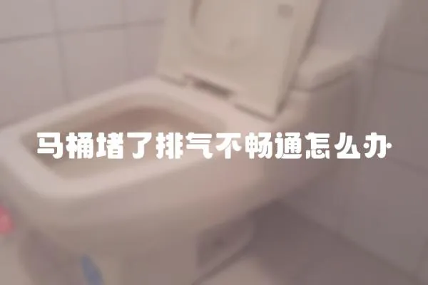 馬桶堵了排氣不暢通怎么辦