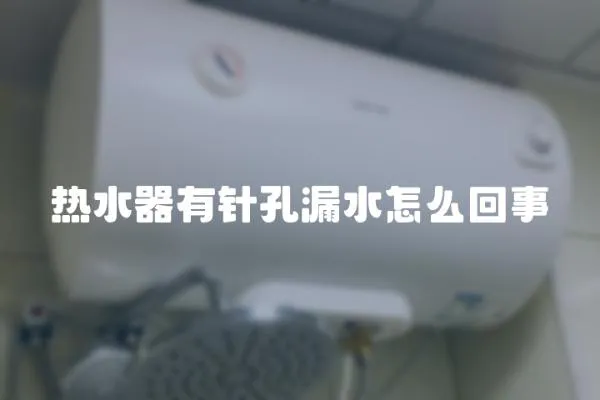 熱水器有針孔漏水怎么回事