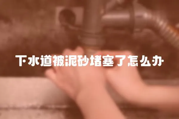 下水道被泥砂堵塞了怎么辦