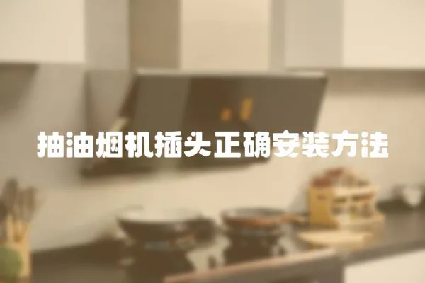 抽油煙機插頭正確安裝方法