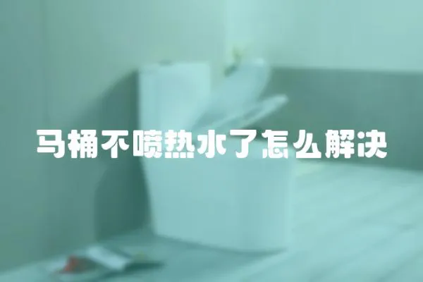 馬桶不噴熱水了怎么解決
