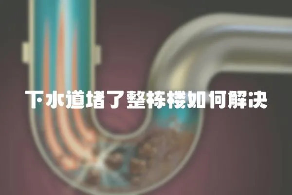 下水道堵了整棟樓如何解決