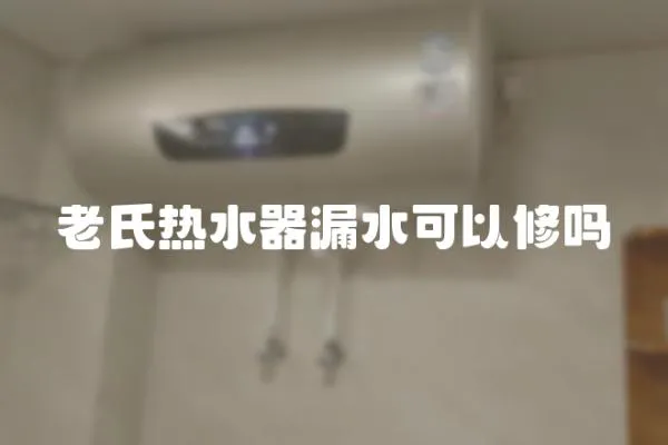 老氏熱水器漏水可以修嗎