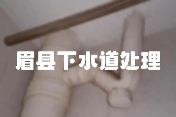 眉縣下水道處理