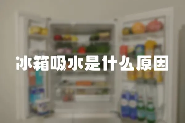 冰箱吸水是什么原因