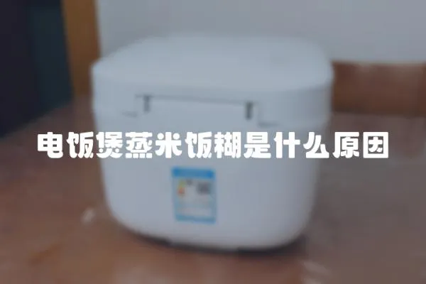 電飯煲蒸米飯糊是什么原因