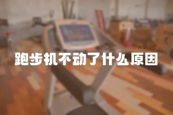 跑步机不动了什么原因