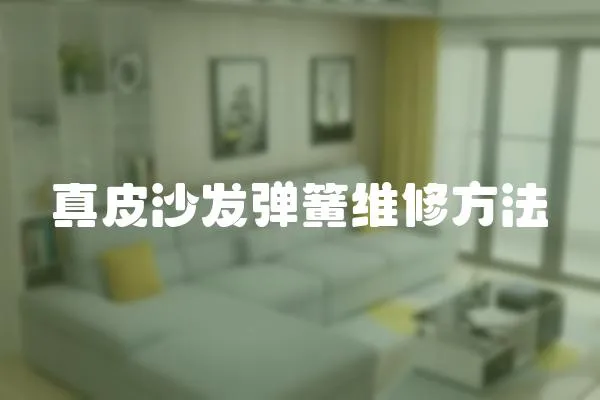 真皮沙發(fā)彈簧維修方法