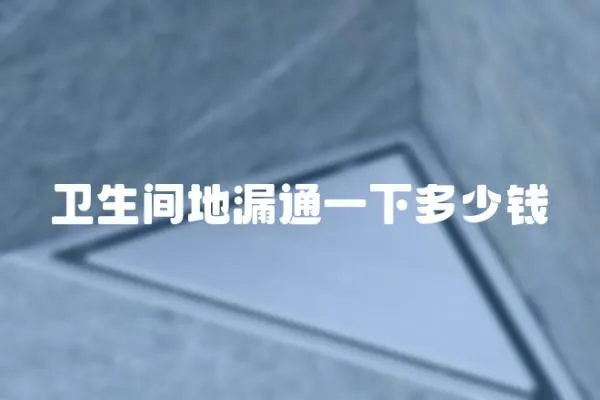 衛(wèi)生間地漏通一下多少錢