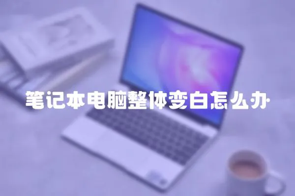筆記本電腦整體變白怎么辦
