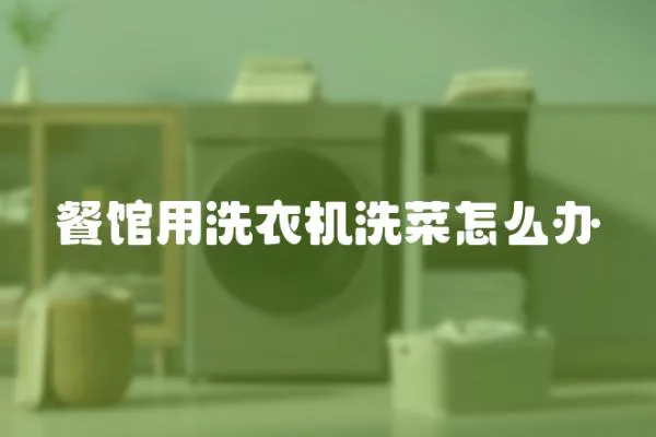 餐館用洗衣機洗菜怎么辦