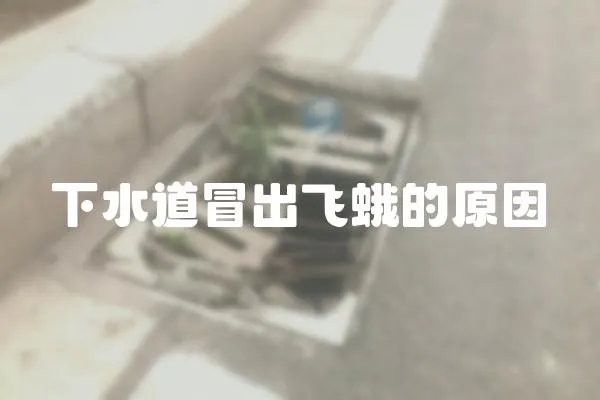 下水道冒出飛蛾的原因