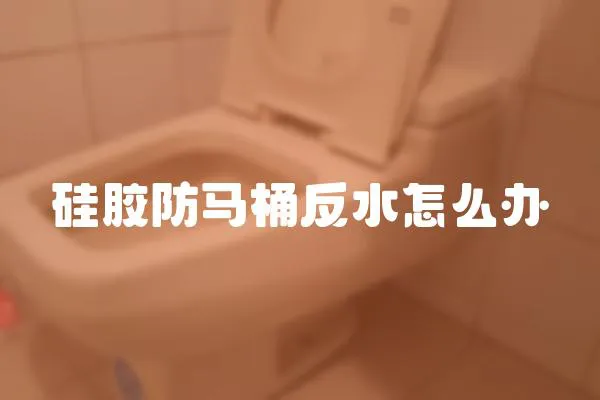 硅膠防馬桶反水怎么辦