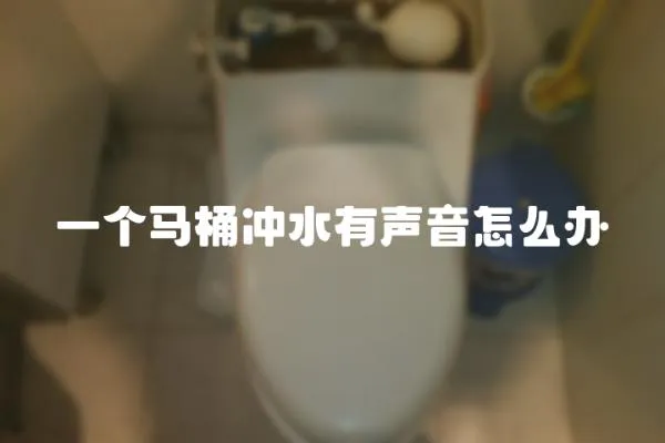 一個馬桶沖水有聲音怎么辦