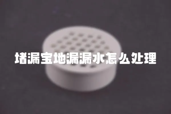 堵漏寶地漏漏水怎么處理