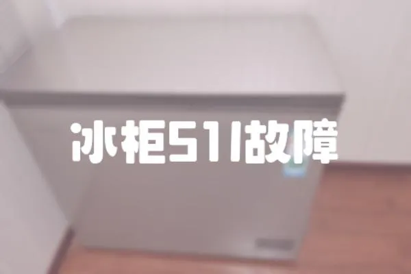 冰柜51l故障