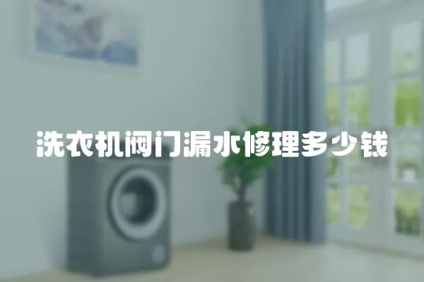 洗衣機閥門漏水修理多少錢