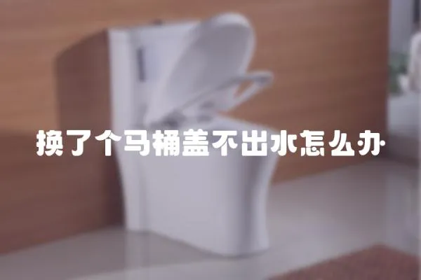 換了個馬桶蓋不出水怎么辦