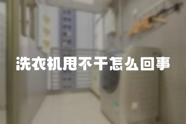 洗衣機甩不干怎么回事