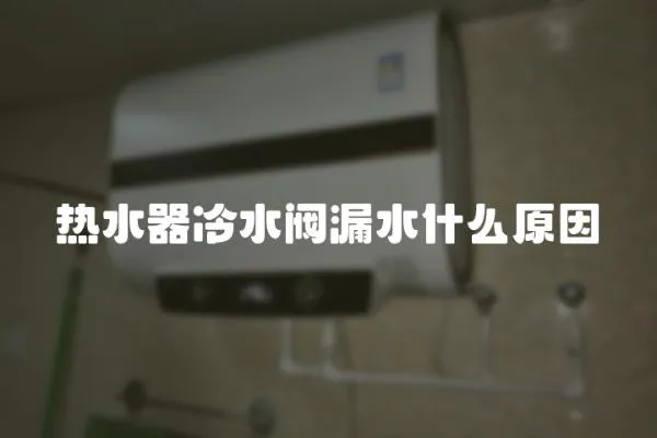 熱水器冷水閥漏水什么原因