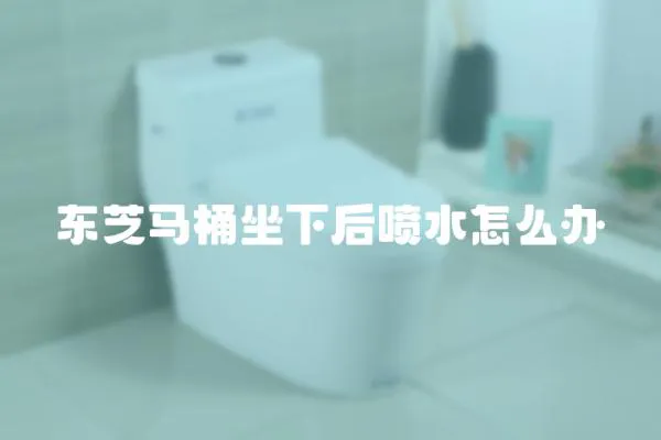 東芝馬桶坐下后噴水怎么辦
