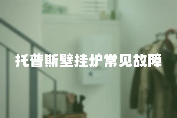 托普斯壁掛爐常見故障