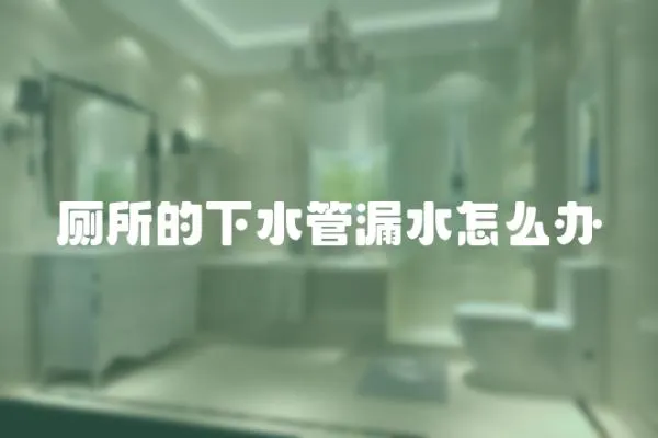 廁所的下水管漏水怎么辦