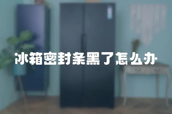 冰箱密封條黑了怎么辦