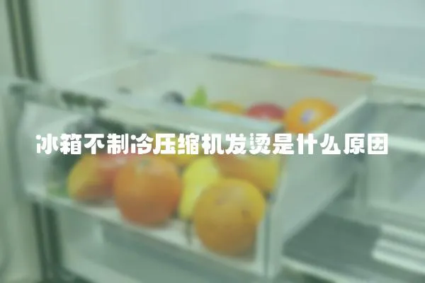 冰箱不制冷壓縮機發(fā)燙是什么原因