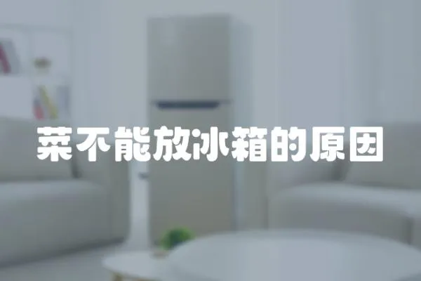 菜不能放冰箱的原因