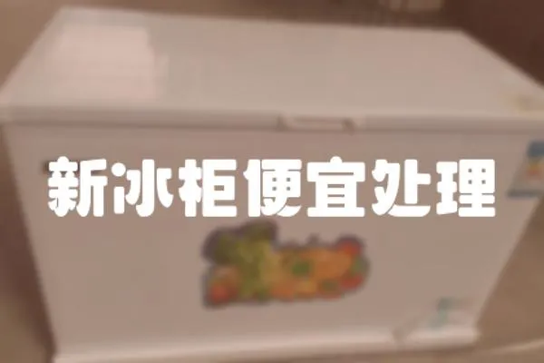 新冰柜便宜處理