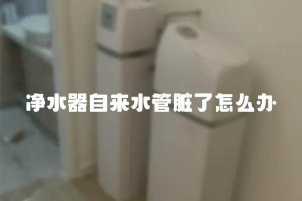 凈水器自來水管臟了怎么辦