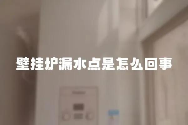 壁掛爐漏水點是怎么回事