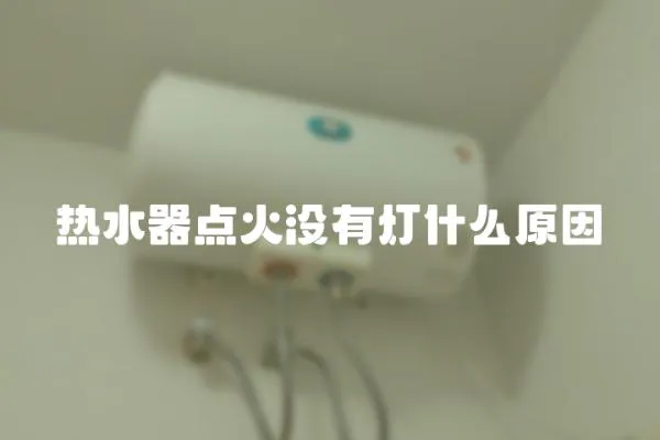 熱水器點火沒有燈什么原因