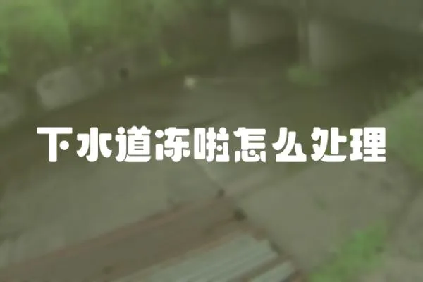 下水道凍啦怎么處理