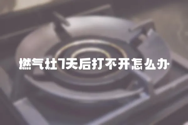 燃氣灶7天后打不開怎么辦
