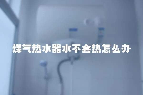 煤氣熱水器水不會熱怎么辦
