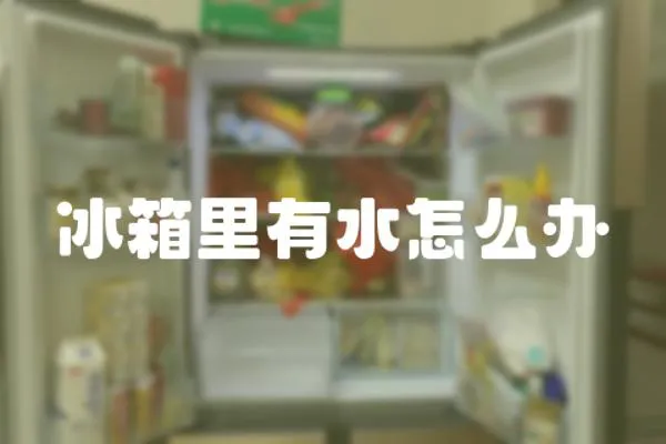 冰箱里有水怎么辦