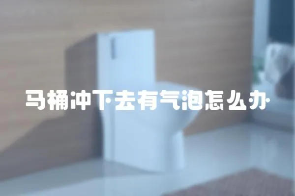 馬桶沖下去有氣泡怎么辦