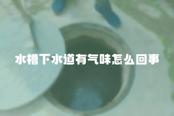 水槽下水道有氣味怎么回事