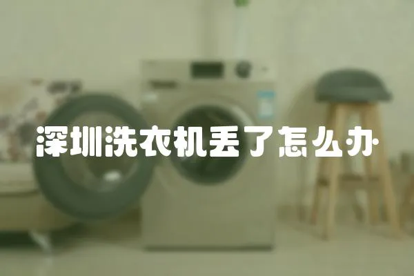 深圳洗衣機丟了怎么辦