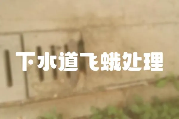 下水道飛蛾處理
